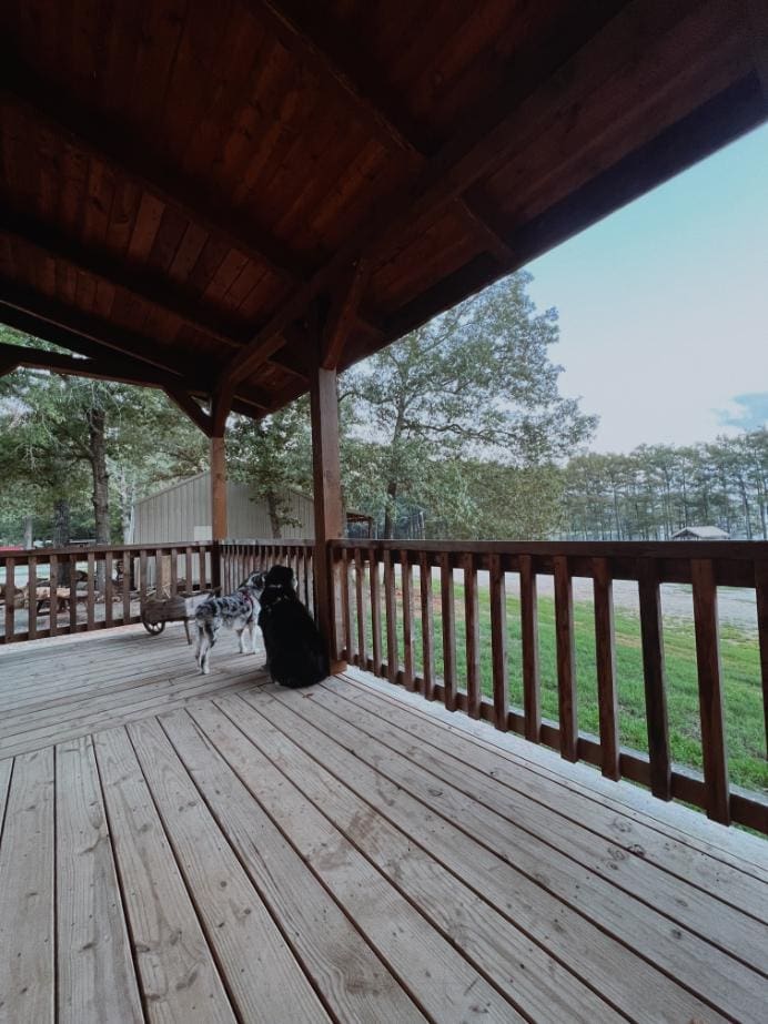 cabin on the water Karnack Texas Caddo Lake