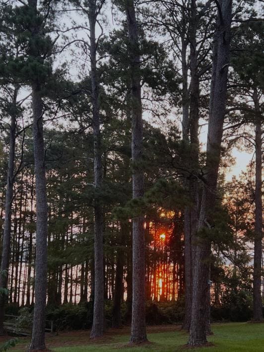 sunset over Caddo Lake Texas Piney Woods reflection