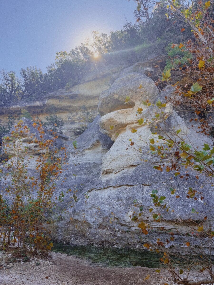 Lost Maples State Natural Area hiking trail through bigtooth maple trees Hill Country Texas
